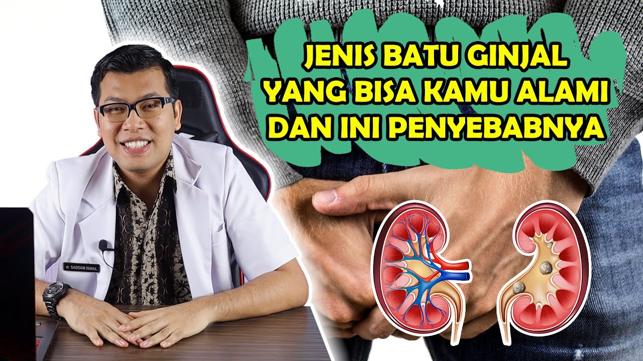 JENIS BATU GINJAL YANG BISA KAMU ALAMI DAN INI PENYEBABNYA - DOKTER SADDAM ISMAIL