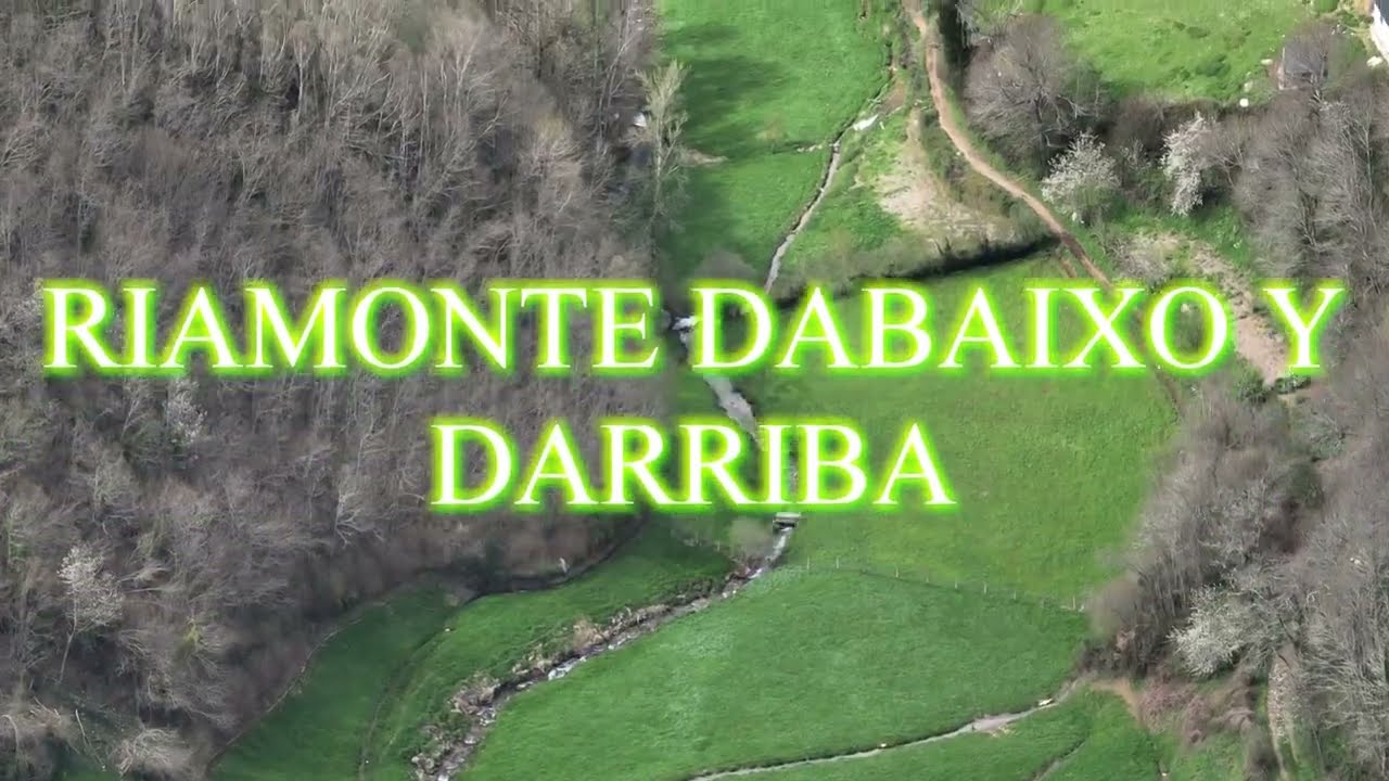RIAMONTE DABAIXO Y DARRIBA (CERVANTES ) LU.