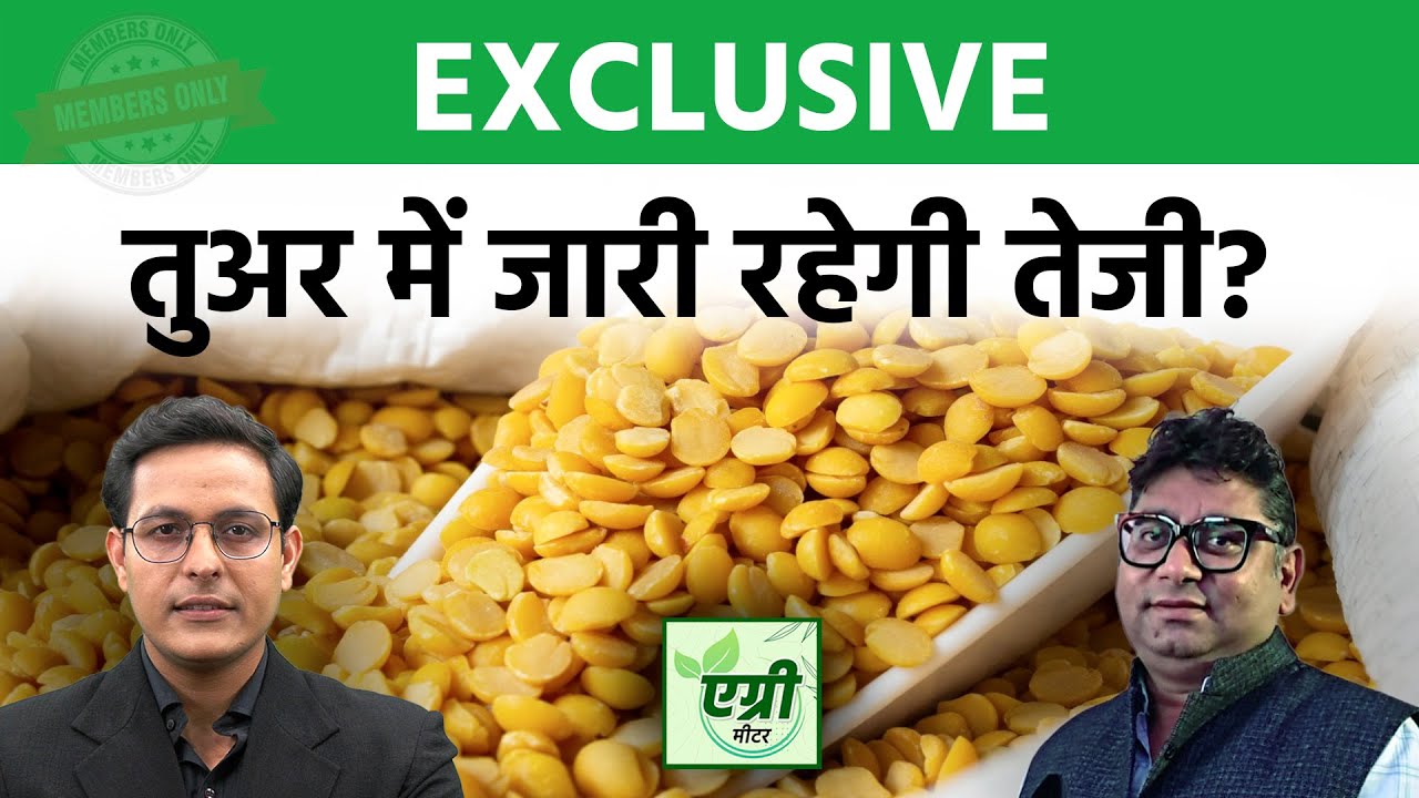Agri Commodity : तुअर की डिमांड-सप्लाई, उत्पादन और स्टॉक की कैसी है स्थिति?  NCDEX | Trading