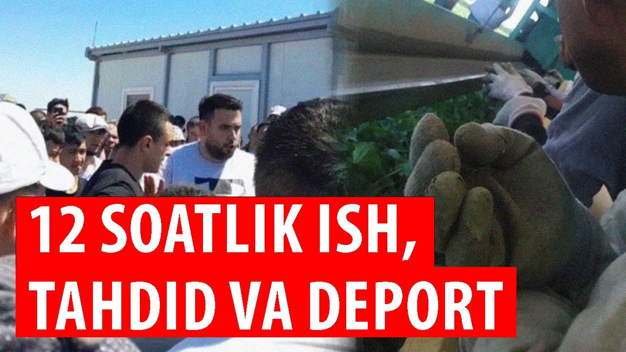 Serbiyadagi o‘zbek ishchilar: Bizning hech kimga keragimiz yo‘q!