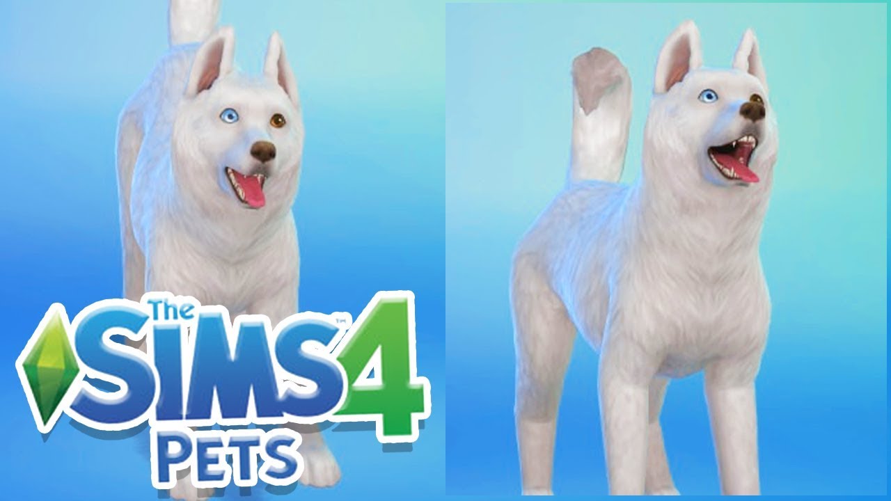 STORM IS HERE! | Sims 100 Cats & Dogs Challenge #3