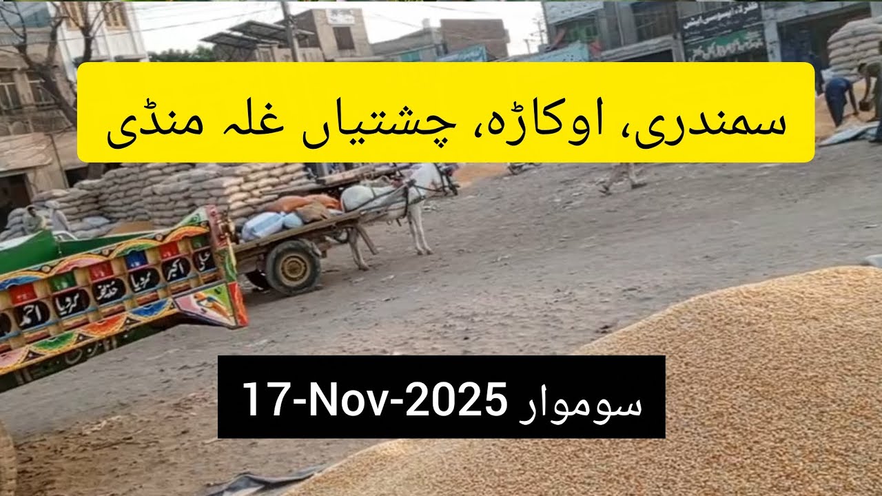 Today Grain Market Rate Update. Agriculture Life. 17-Nov-2025