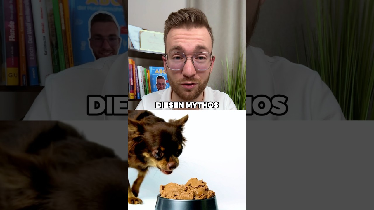 Nassfutter macht Hunde dick❓😱 