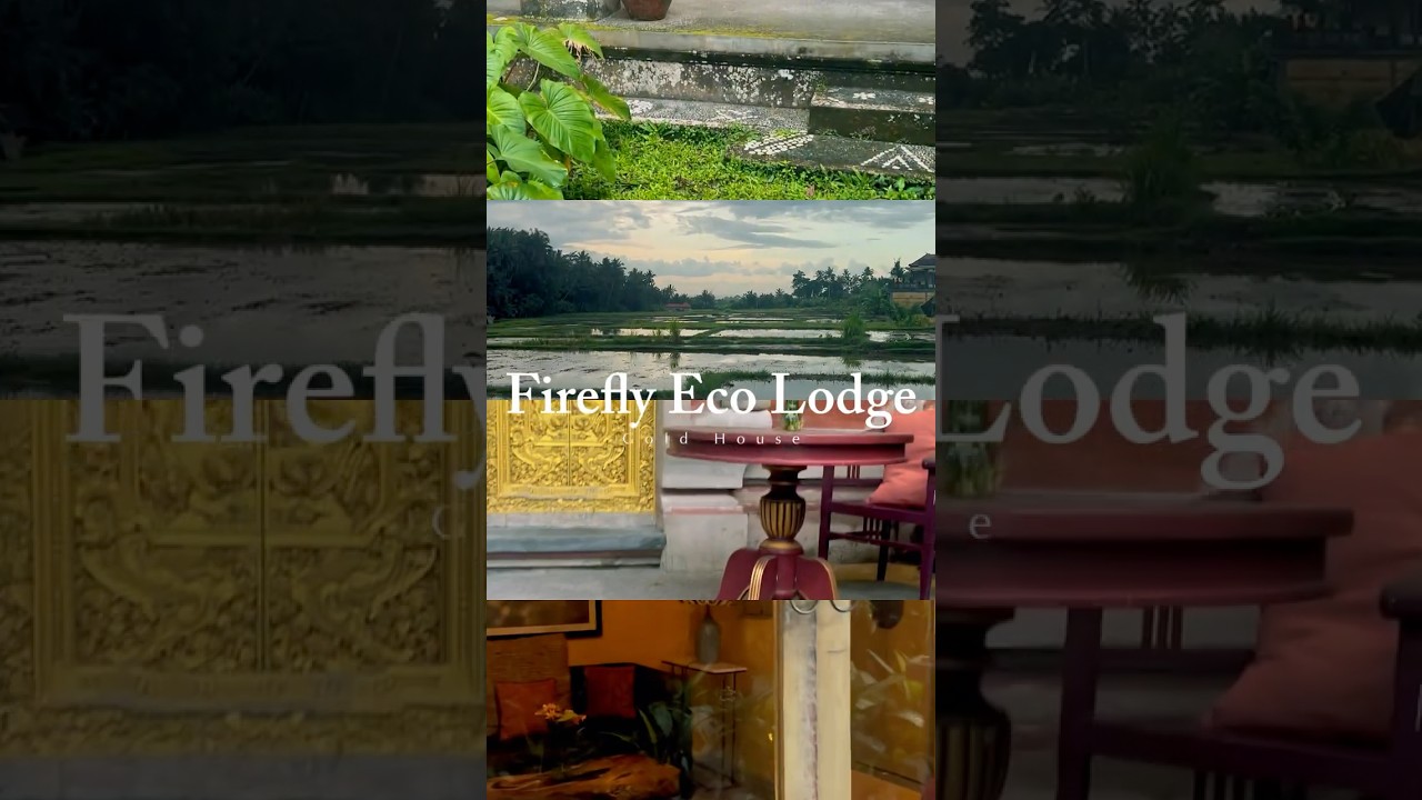 My Serene Stay at Bali&rsquo;s Firefly Eco Lodge | Gold House Tour & Nature Vibes  #bali #travelblogger