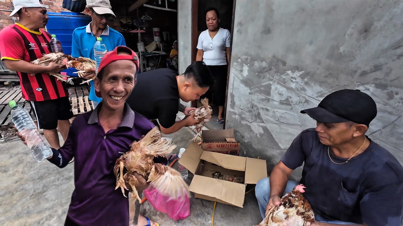 EPISODE-9 BAYAR GAJI TUKANG RUMAH DAN GIFT CHRISTMAS AYAM SEEKOR,LANGKAU SEBOTOL // 