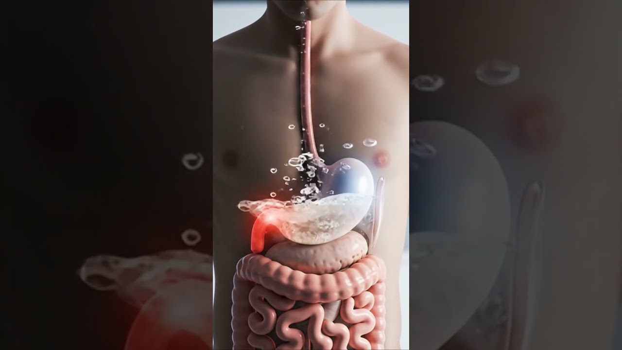 What Happens When You Drink Soda on an Empty Stomach 🥤