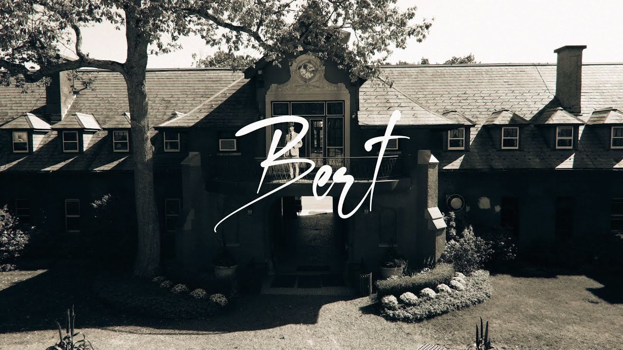 BERT - The Legacy of Bertalan de N&eacute;methy
