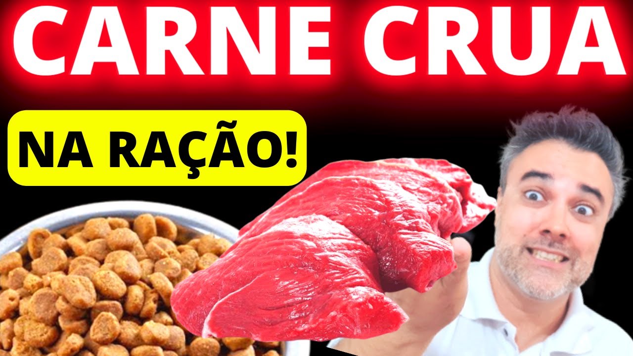 CARNE CRUA na ração! | Cães e gatos