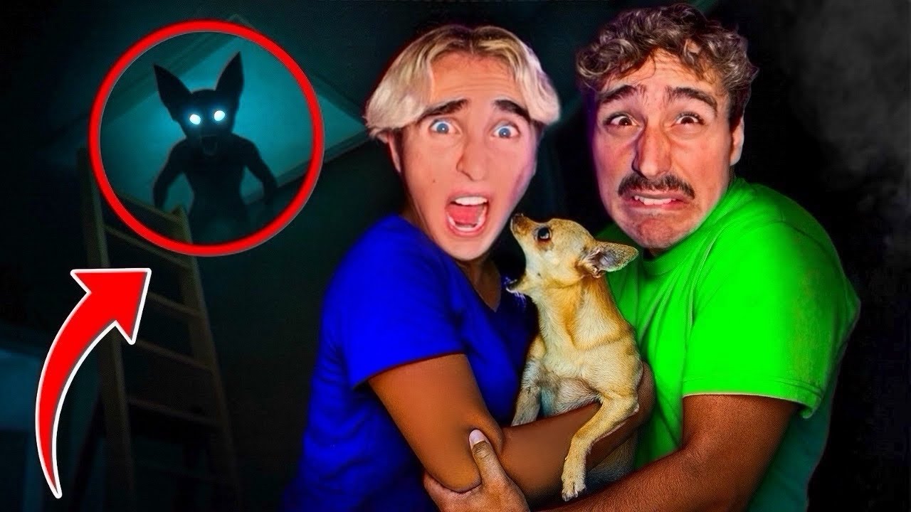 QUALCUNO VIVE NELLA NOSTRA SOFFITTA?! 😱