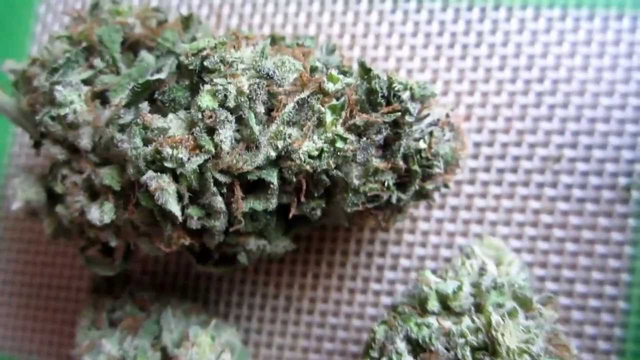 Lemon Sour Diesel Nug Medical Marijuana Review