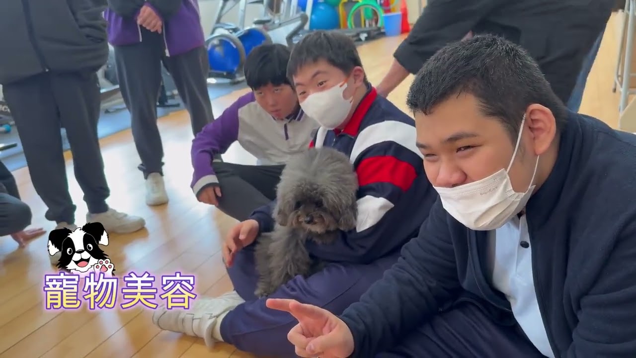 生涯規劃：智閃亮興趣體驗日