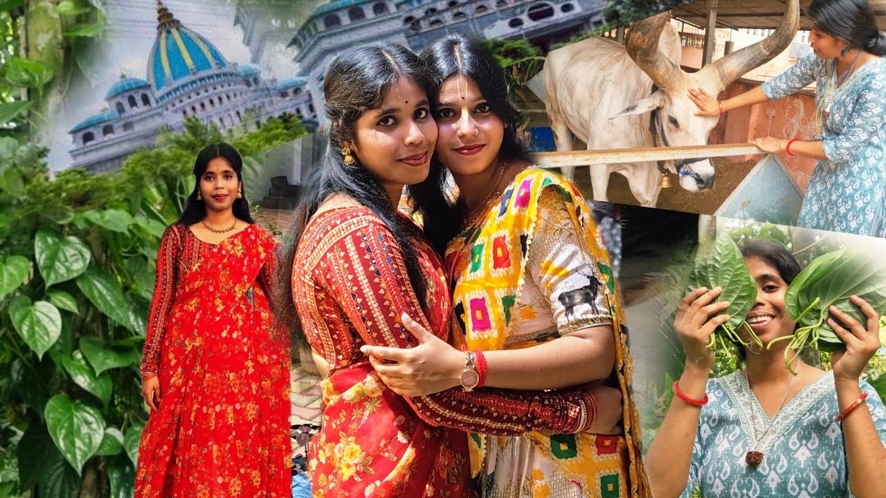  ll মায়াপুর থেকে মামারবাড়ি স্মৃতির পাতায় থেকে যাক শান্তির ঝুড়ি ।। 🌿 iskon 🛕