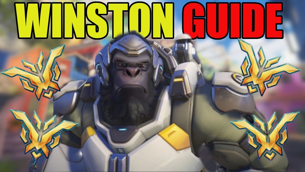 WINSTON GUIDE FOR BEGINNERS - EVERYTHING YOU NEED TO KNOW