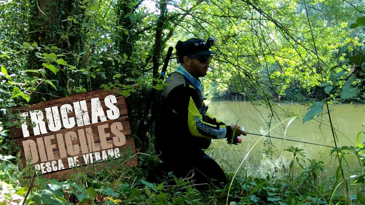 PESCA de TRUCHAS EN VERANO/ PESCA de la TRUCHA CON SEÑUELOS ARTIFICIALES/ PESCA SIN MUERTE ✔️✔️✔️
