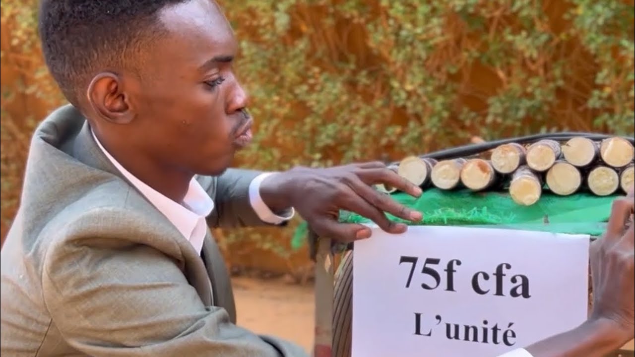 Les vendeurs de canne à sucre