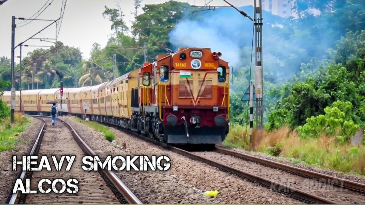 Heavy smoking alcos | wdg3a | wdm3d | wdm3a | wdp3a