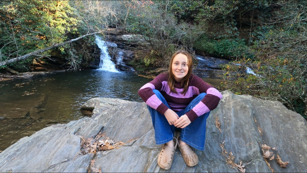 Licklog Falls and Pigpen Falls