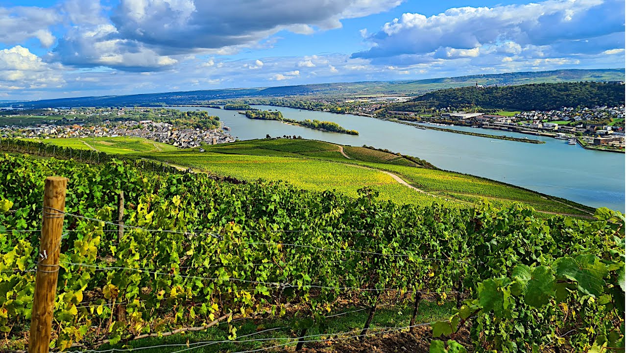 🍇 Abbey St. Hildegard & Niederwalddenkmal | Exploring Rüdesheim am Rhein
