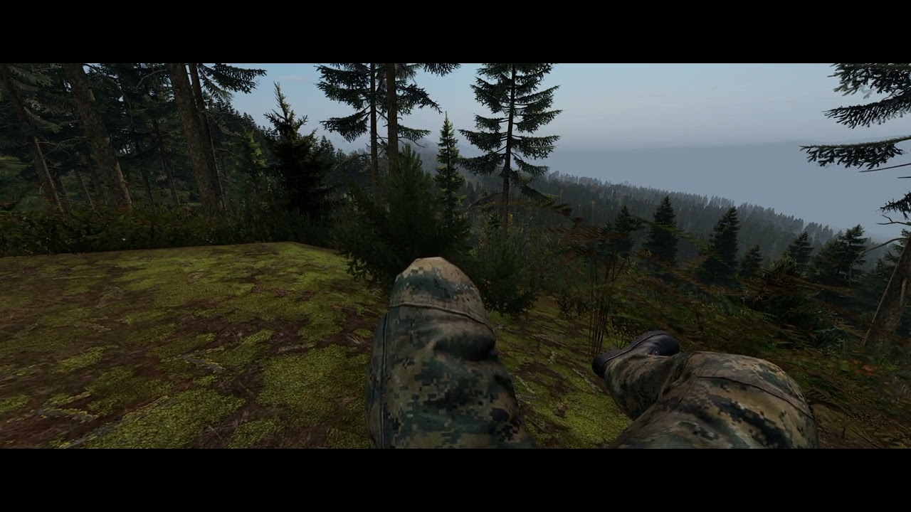 DayZ Ambient - Distant heavy firefight while chillin' in the woods