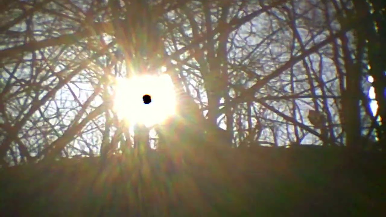 Star Rover -  Pulpo Lucido   (Official Music Video)