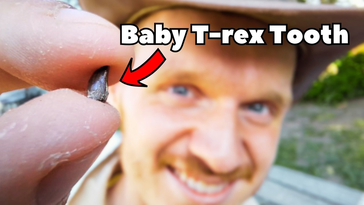 Finding Dinosaur Fossils  (USA 2024 part 1)