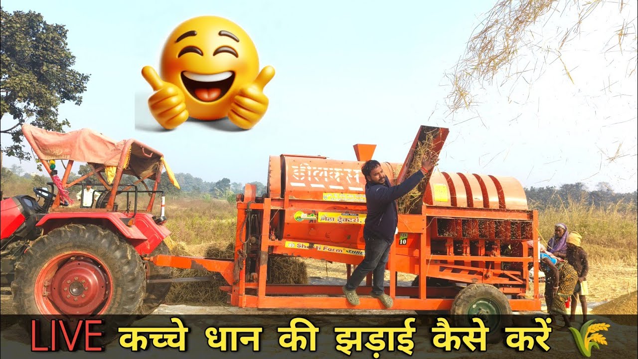 Live कच्चे धान की झड़ाई कैसे करें 🌾😱 || ऐसे थ्रेसर चलाओगे तो धान अच्छे से झड़ाई होगी #thareshar 