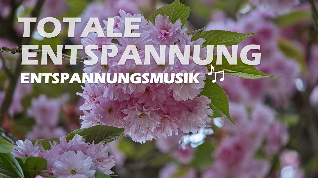 Entspannende Musik für Meditation, Stressabbau und Schlaf 