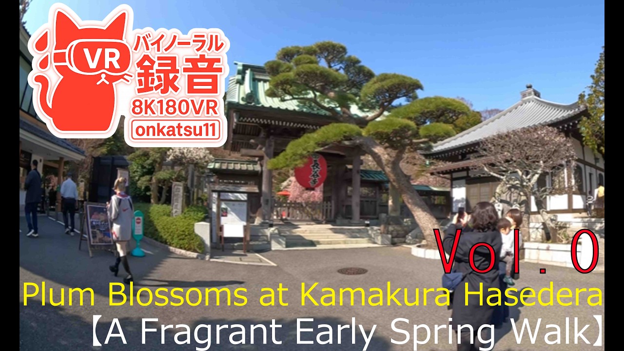 🌸 [Plum Blossoms at Kamakura Hasedera—A Fragrant Early Spring Walk (8K VR180)] Chapter Zero‼