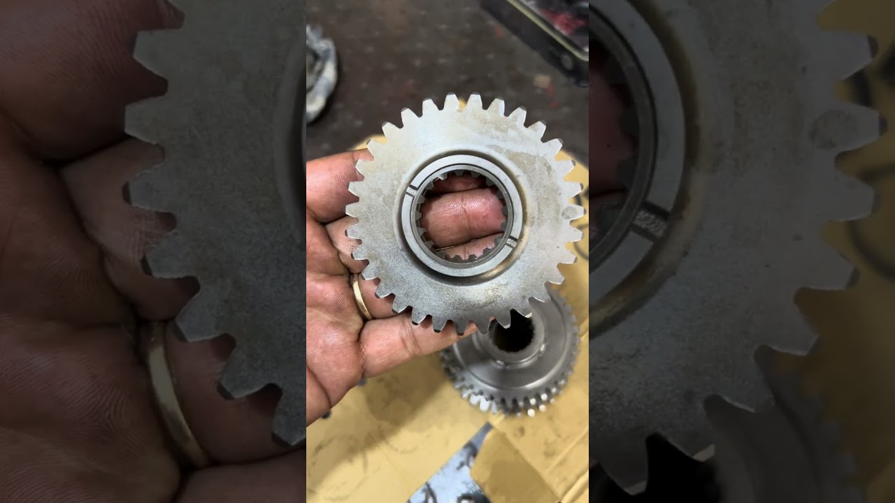 Montagem do câmbio Tiger 1200 XRX 2019 
