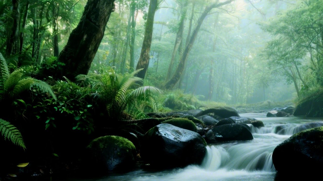 Music Relaxation With Emotional Piano For Healing Moments ✨ | By Peaceful Mind Melodies