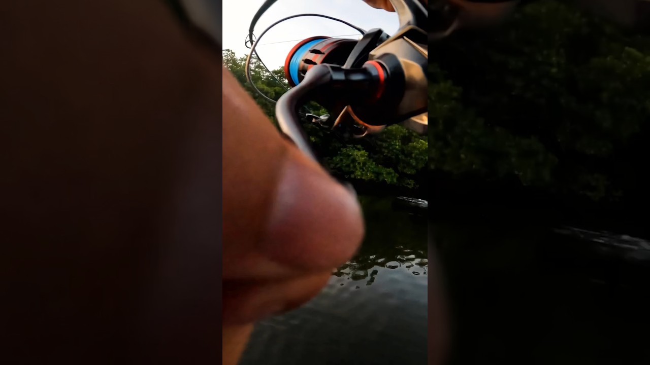 The LOUDEST #Topwater Strike I&rsquo;ve EVER Heard!! (Short Version)