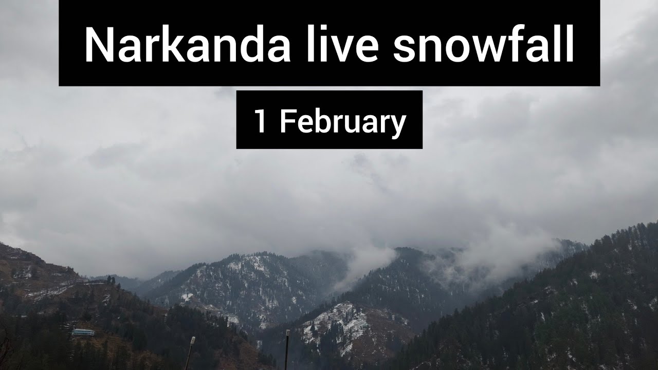 Narkanda live snowfall today | Shimla Narkanda | Himachal pradesh