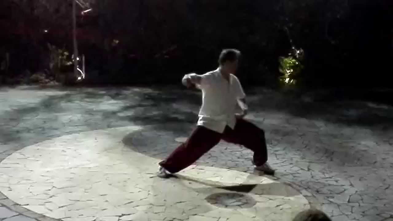 Taiji Demo M° Gianfranco Pace