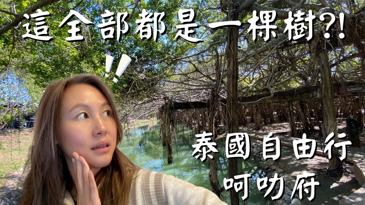 泰國呵叻府 | 這公園只要這棵樹就夠了! 但你絕對看不出來只有一棵樹！