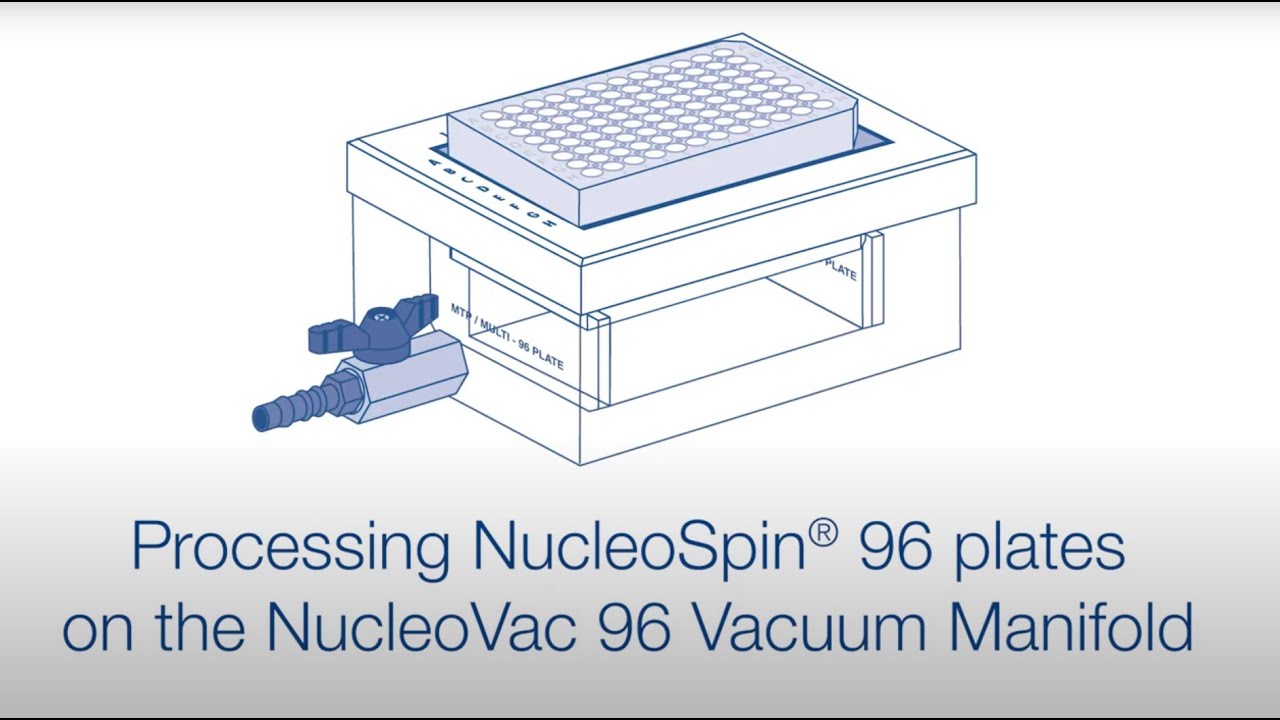 Setup of the NucleoVac 96 Vacuum Manifold