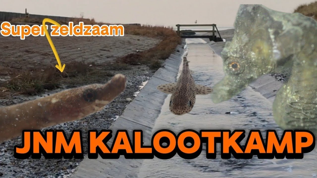 Mijn zeldzaamste vis ooit in Nederland!!