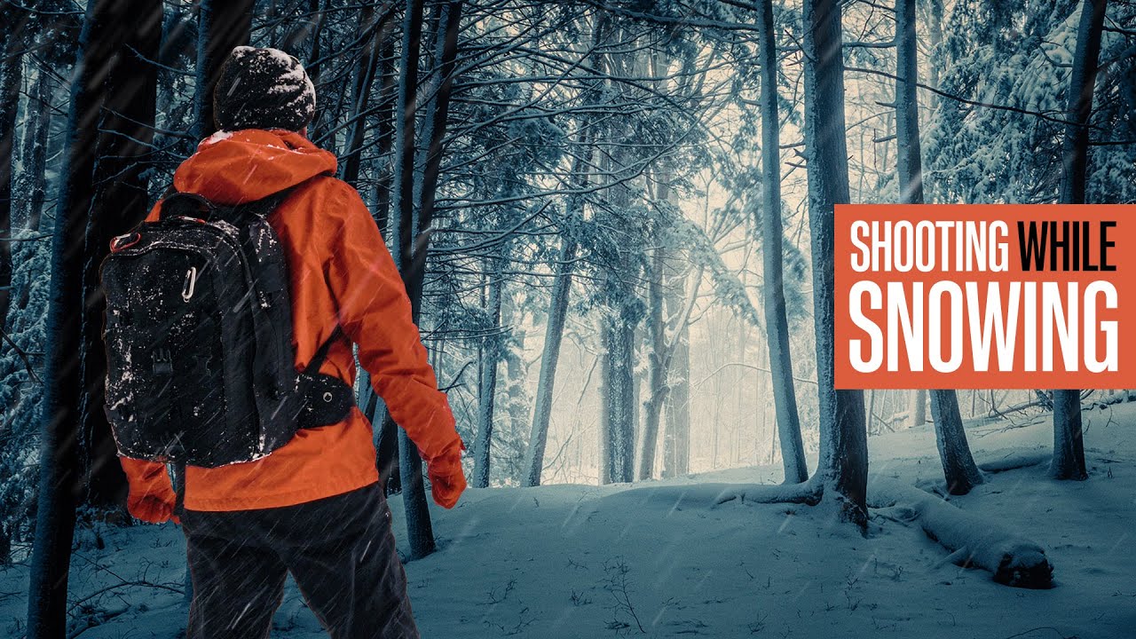 Winter Woodland Photography During a Snowfall / Dynamic Range Experiment