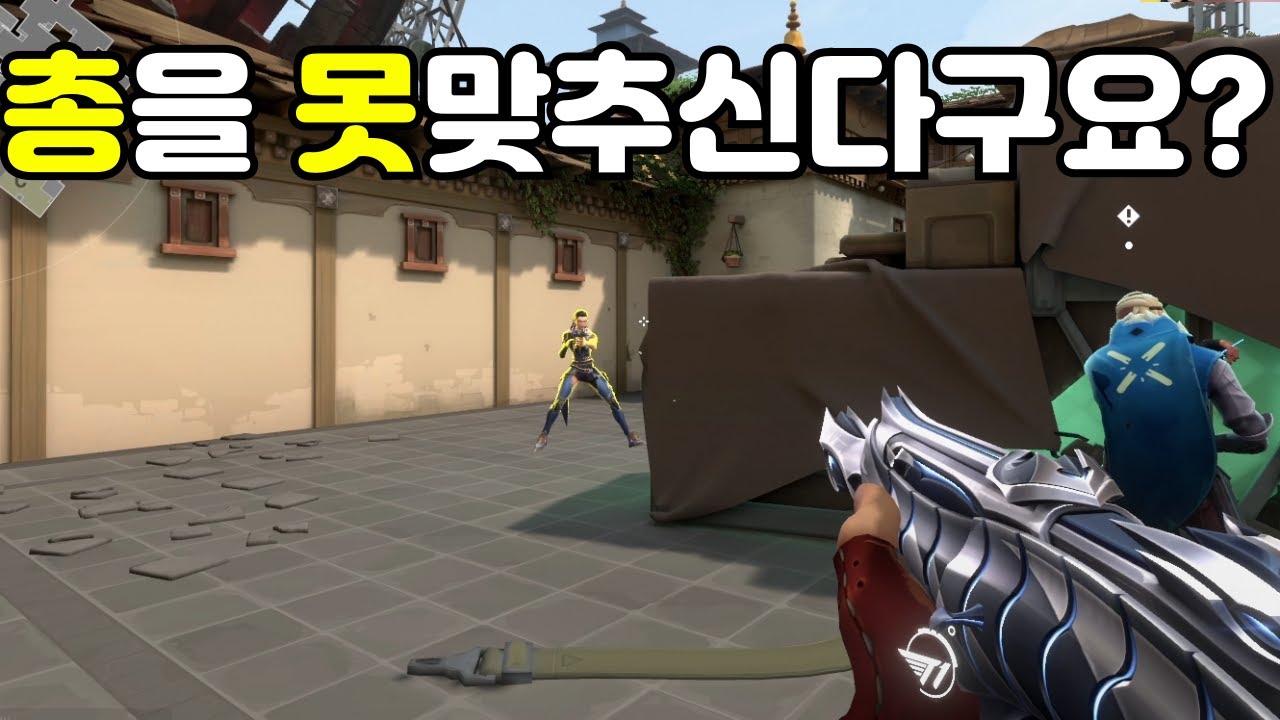 총을 못 맞출수 밖에 없는 에임 위치