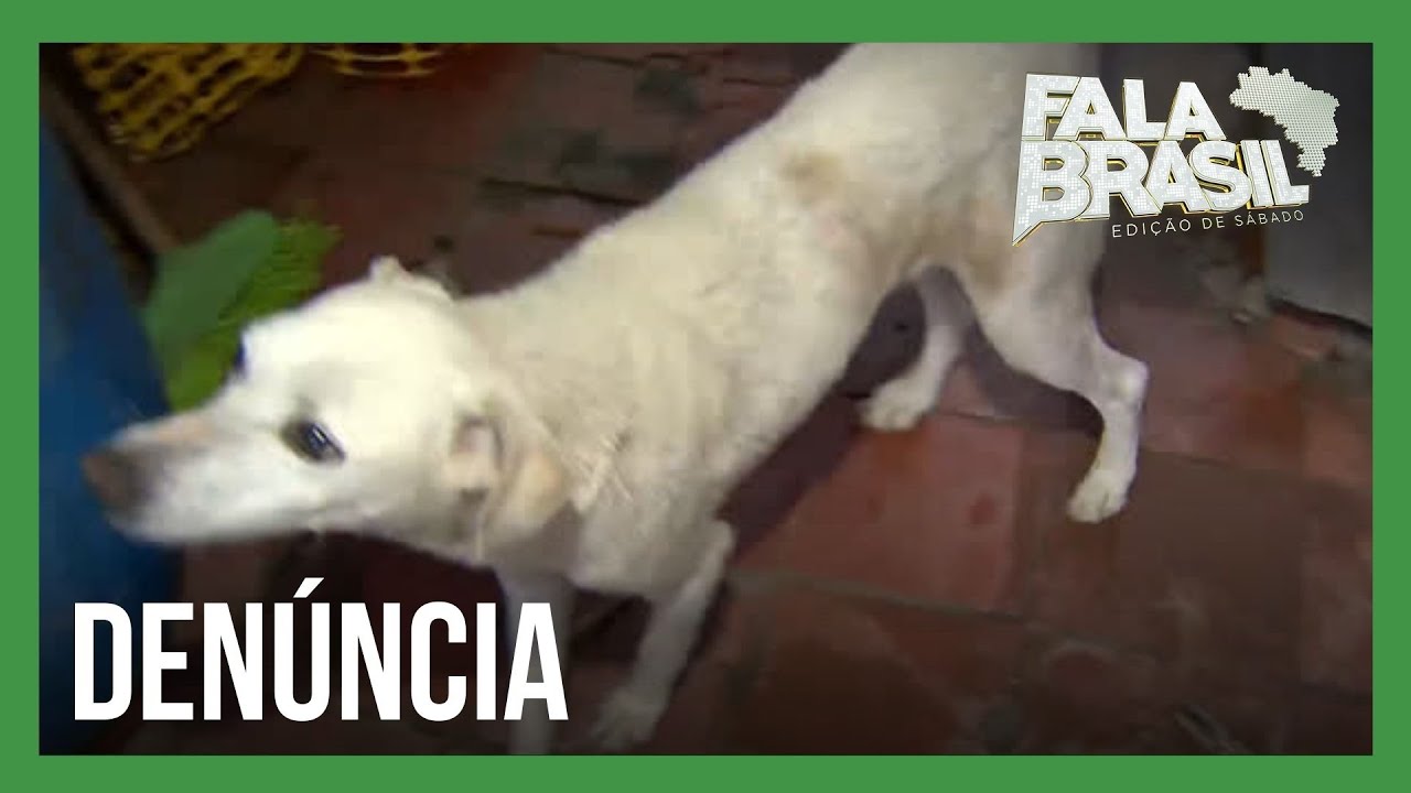 Julinho Casares acompanha operação de resgate a animais vítimas de maus-tratos
