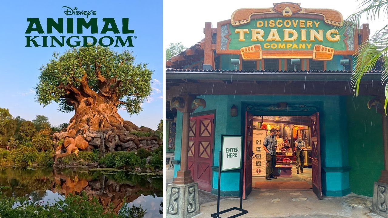 Quiet Day at Disney's Animal Kingdom: Discovery Trading Company Gift Shop Exploration