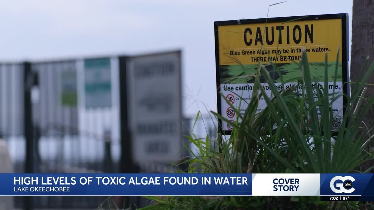 Tests show Lake Okeechobee is six times too toxic for humans