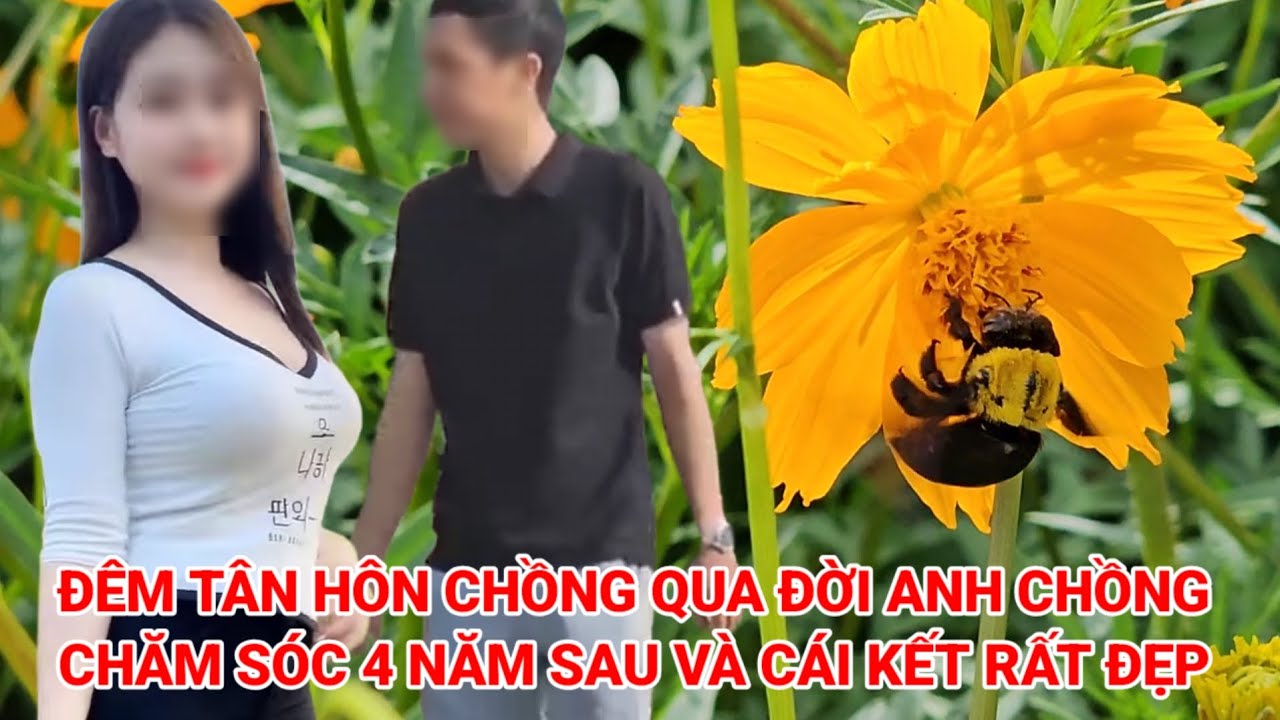 Đêm tân hôn chồng qua đời cô gái ở vậy cùng anh chồng 4 năm sau và cái kết đẹp