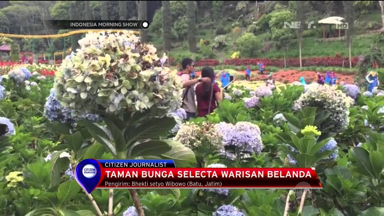 Taman Bunga Selecta Warisan Belanda Di Batu, Jawa Timur - IMS