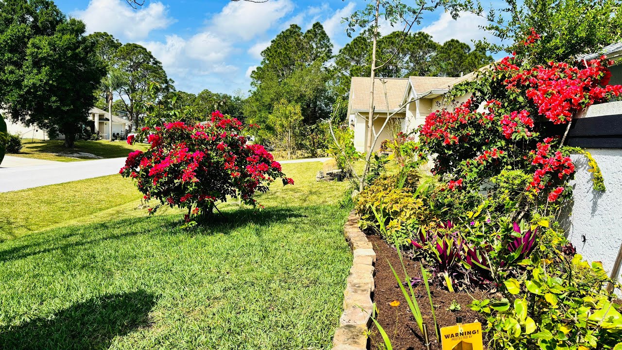 🌹Literalmente/ ES PRIMAVERA 🪴🌱✔️nos  PREPARAMOS  para recibirla🦋💐  #Vlog 3 #casayjardin 🏡🪴