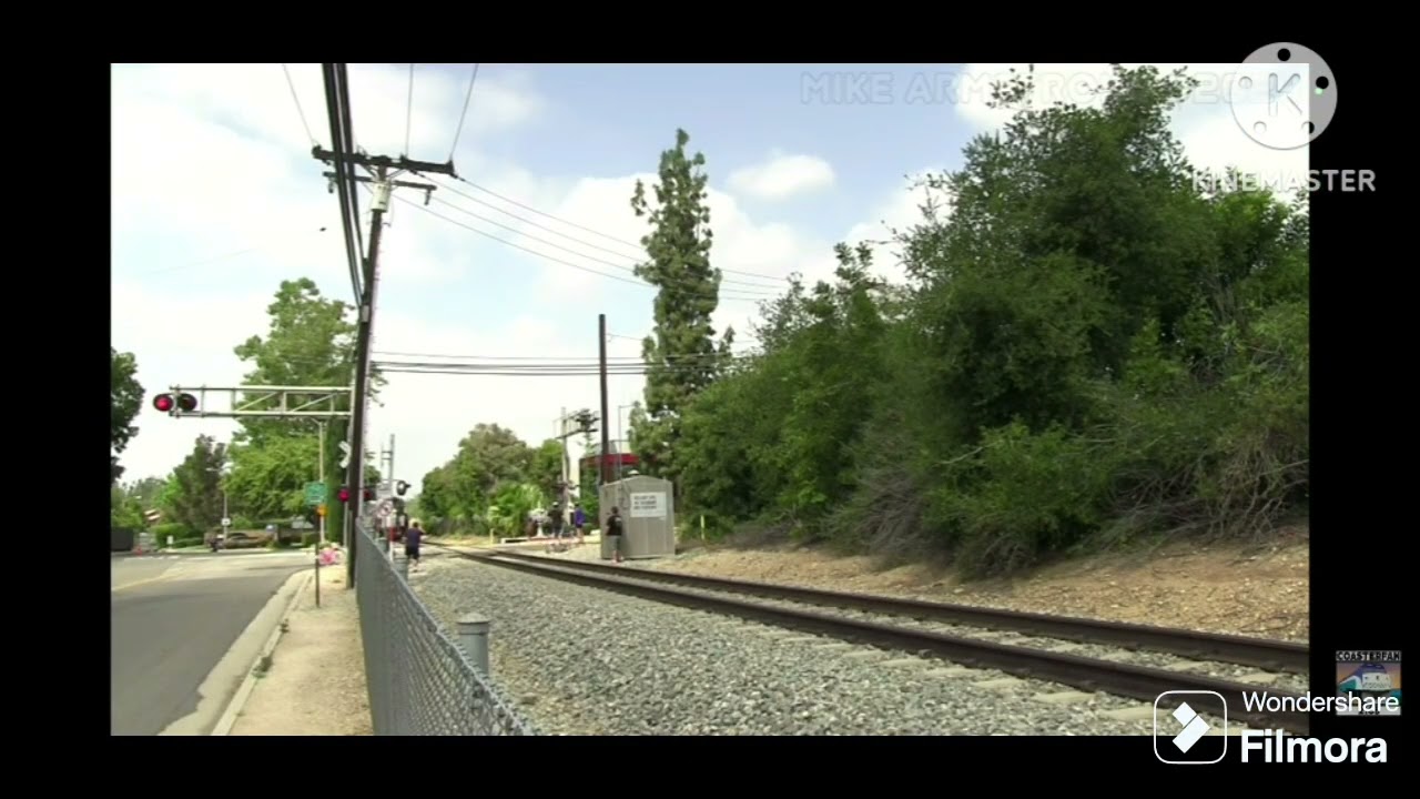 Excursion Steam Locomotive 