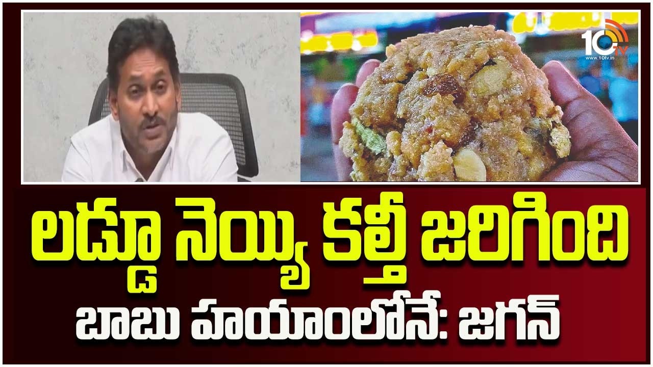 YS Jagan on TTD Adulterated Ghee issue | లడ్డూ నెయ్యి కల్తీ జరిగింది బాబు హయాంలోనే: జగన్‌ | 10TV