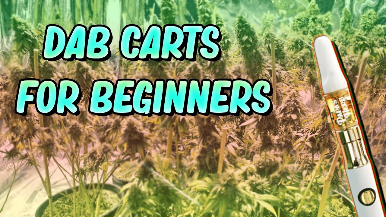 Dab Cartridges For Beginners 
