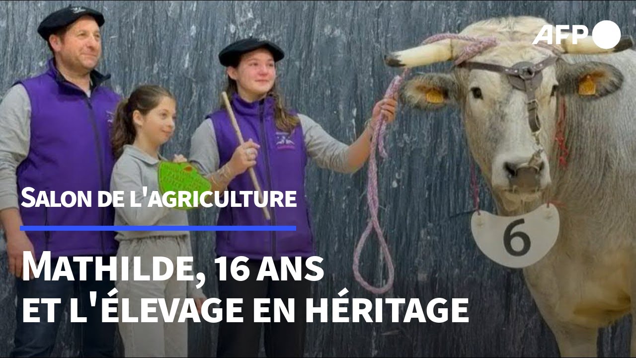 Père et fille primés au Salon de l'agriculture | AFP