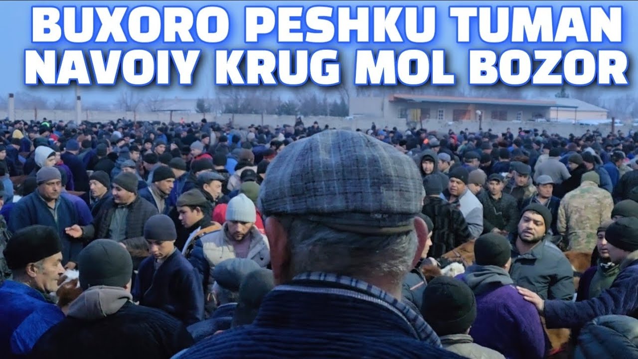 БУХОРО ПЕШКУ НАВОИ КРУГ МОЛ БОЗОР 08.02.2026 ЁШ БУКАЧА ГУНОЖИН НАРХЛАР 