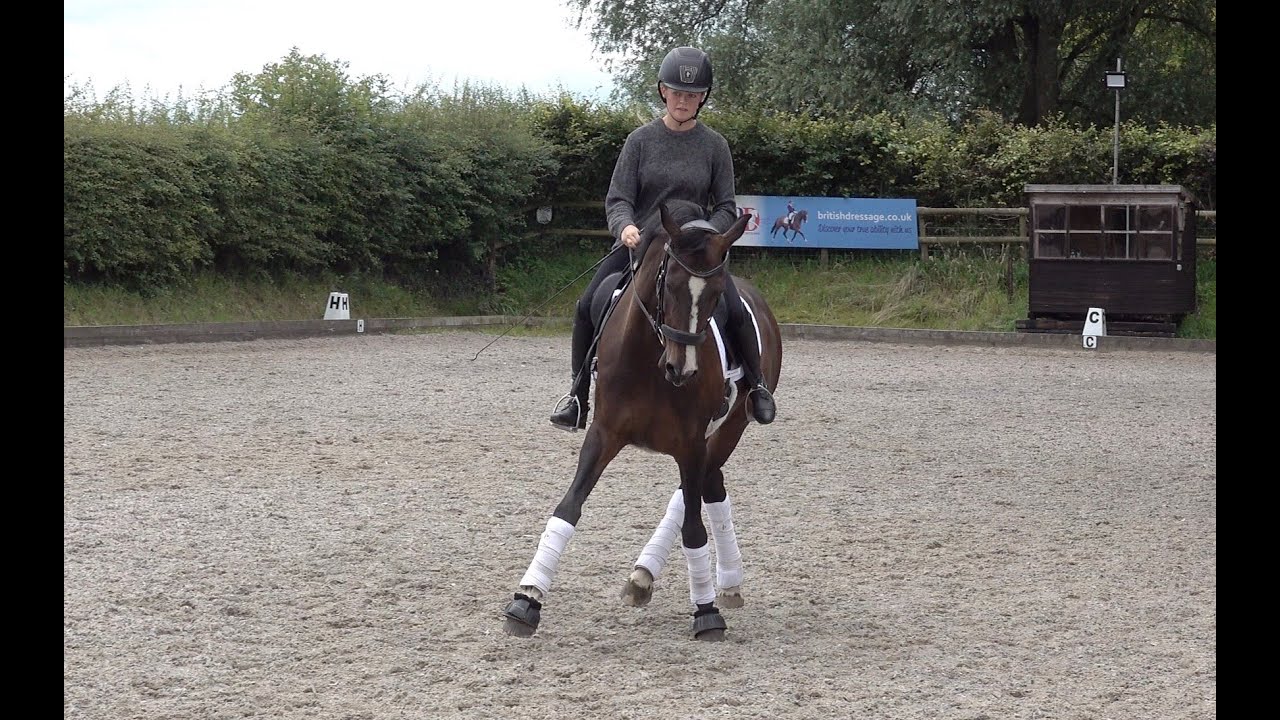 LESSON WITH GB DRESSAGE RIDER // Lesson with my two girls with Emma Corbett